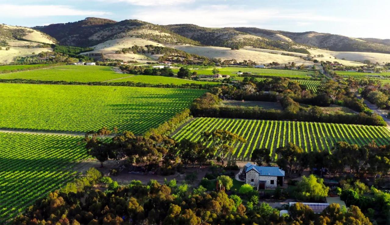 The Old Chaff Mill Organic Vineyard Retreat Bed and Breakfast Sellicks Hill Exteriör bild
