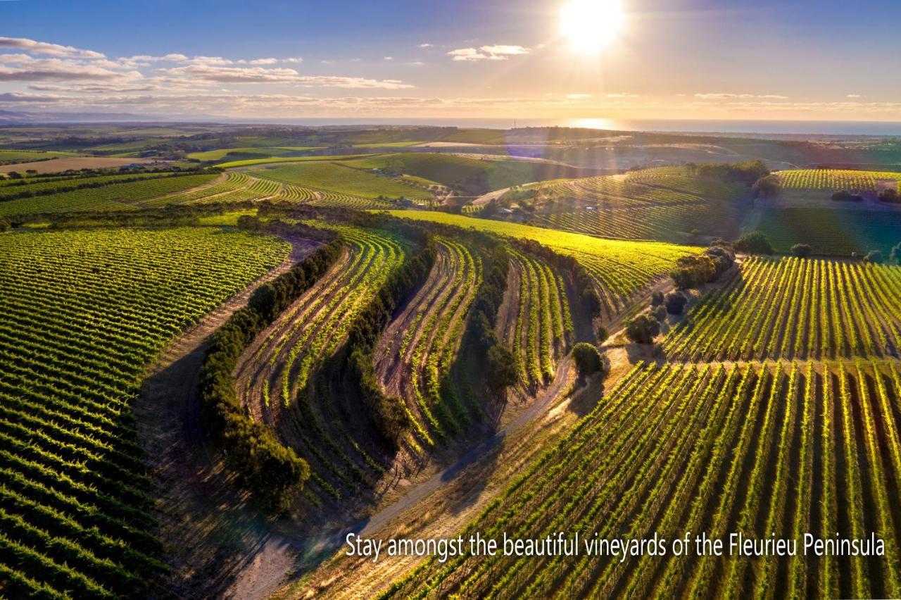 The Old Chaff Mill Organic Vineyard Retreat Bed and Breakfast Sellicks Hill Exteriör bild