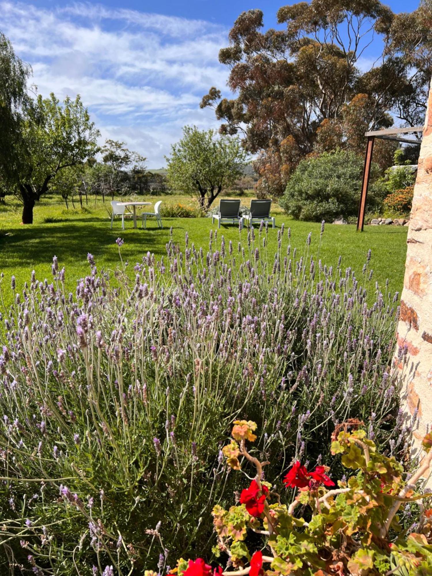 The Old Chaff Mill Organic Vineyard Retreat Bed and Breakfast Sellicks Hill Exteriör bild